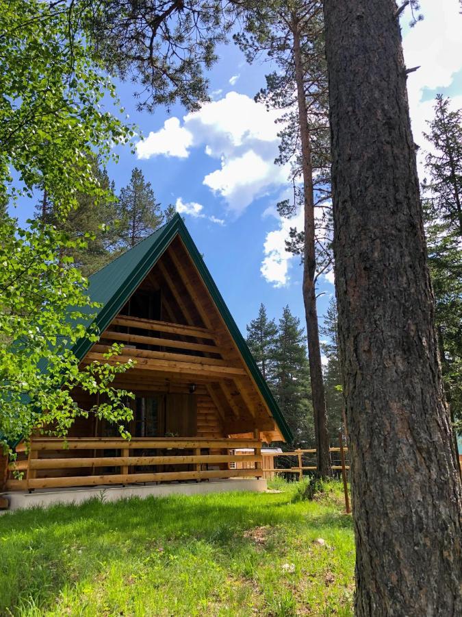 The Pine Forest Cottage Žabljak Dış mekan fotoğraf